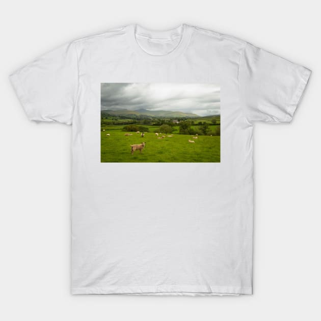 The Volatile Summer of Brecon Beacons - 2014 T-Shirt by SimplyMrHill